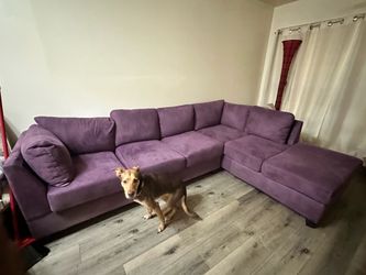 Purple Couch
