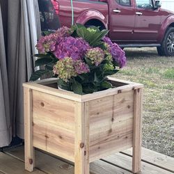 Bad Boyscustom  garden and planter boxes built   We come to you !
