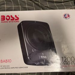 Boss Amplified Subwoofer 