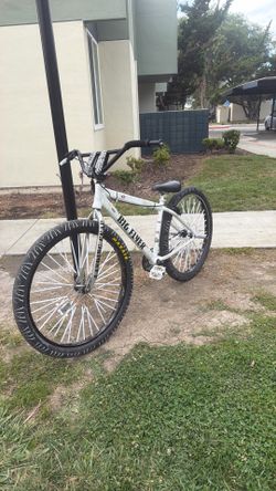 Big Flyer SE Bike