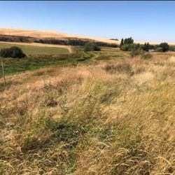 Parcel #51(contact info removed) | 0.61 acres | $25,000 USD (Negotiable)