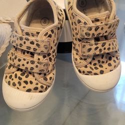 Cat And Jack Size 8