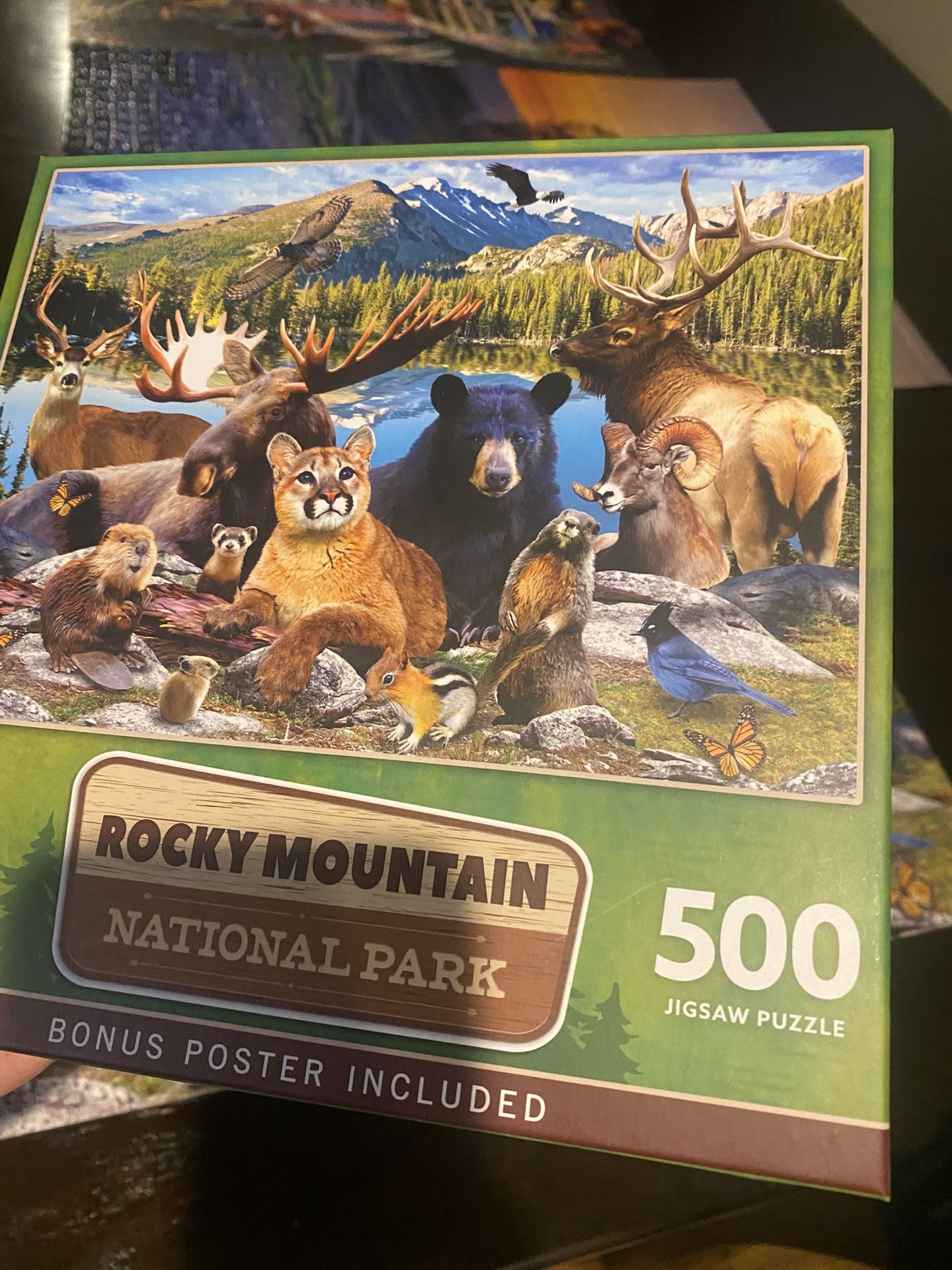 500 Piece Puzzle