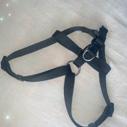 Black Dog harness size (M)