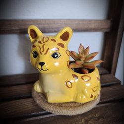 Jaguar Ceramic Pot with Live Succulents