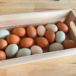 Fresh Organic Eggs 