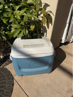 Igloo cooler