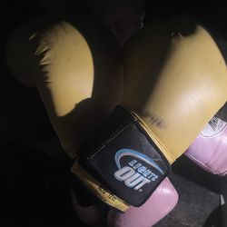 12Oz Boxing gloves 