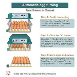 Eggs Incubator 