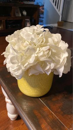 Decorative plant