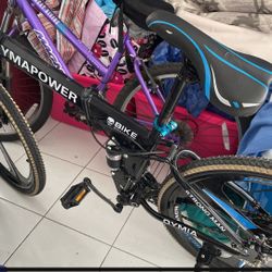 Oyma Power Folding Bike