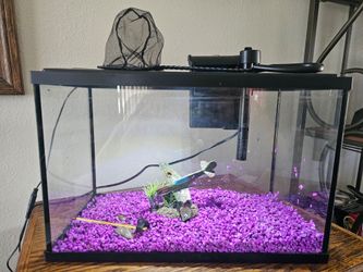 Vibrant Life 5 Gallon Aquarium Starter Kit. ready to use
