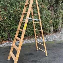 8ft Michigan Ladder