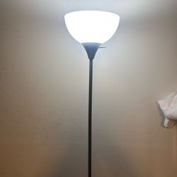 Grey Standing Lamp
