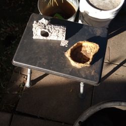 №8, Tree Stump For Cover,№9 Medium Size Bowl Invitation Rock Series Fires