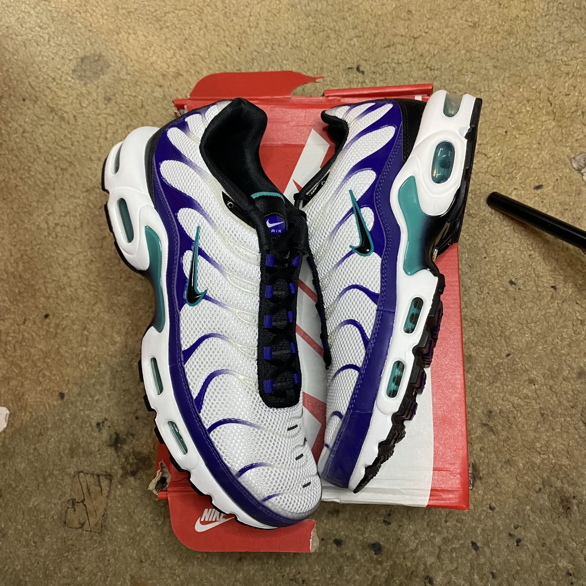 Nike Air Max Plus Shoes $100