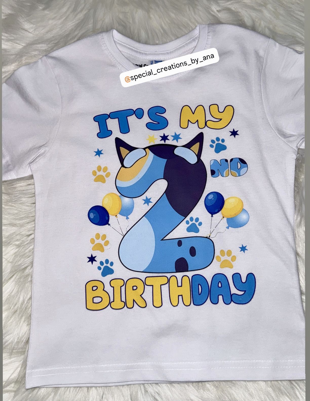 Custom Bluey Theme Birthday Shirt 💙   Order yours , any theme available 