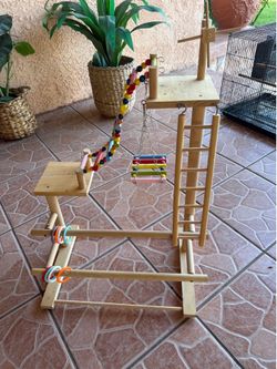 Bird stand