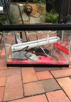 10 gallon tank with accessories