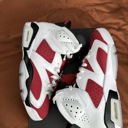 Air Jordan 6 Carmine 2021 Size 9 