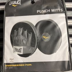 Punch Mitts