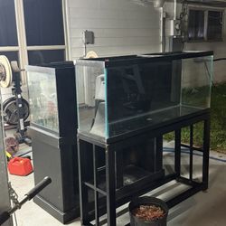 55 gallon fish tank and metal stand