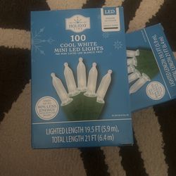 Cool White Christmas lights