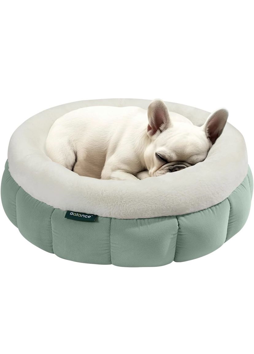 Cat/dog Bed