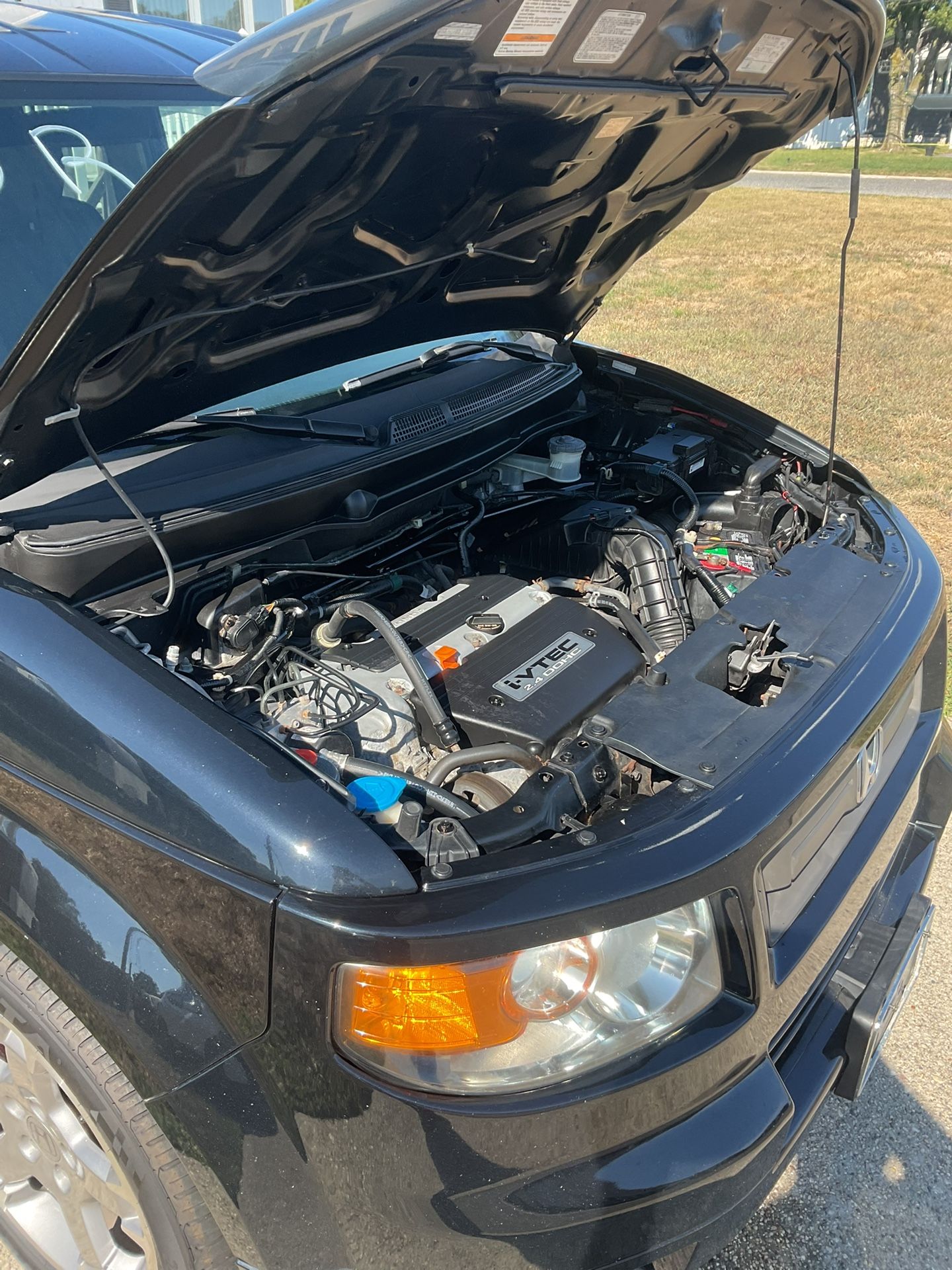 2007 Honda Element
