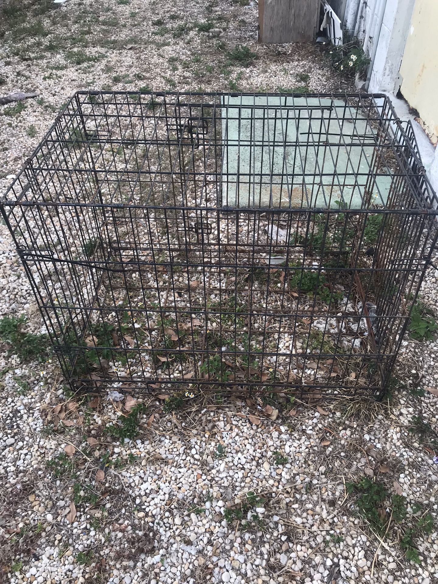 Large Dog Kennel