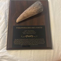 Tyrannosaurus Rex Tooth Plaque