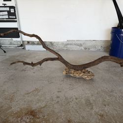 Manzanita Wood For 75 Gallon Tank Or Larger
