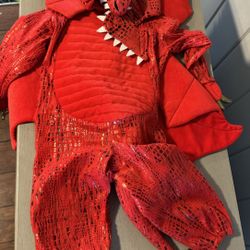 Pottery Barn Dragon Costume  3T
