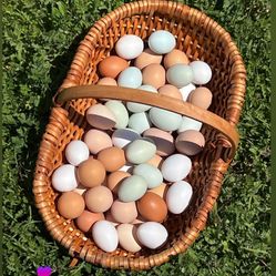 Eggs