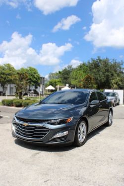 2019 Chevrolet Malibu