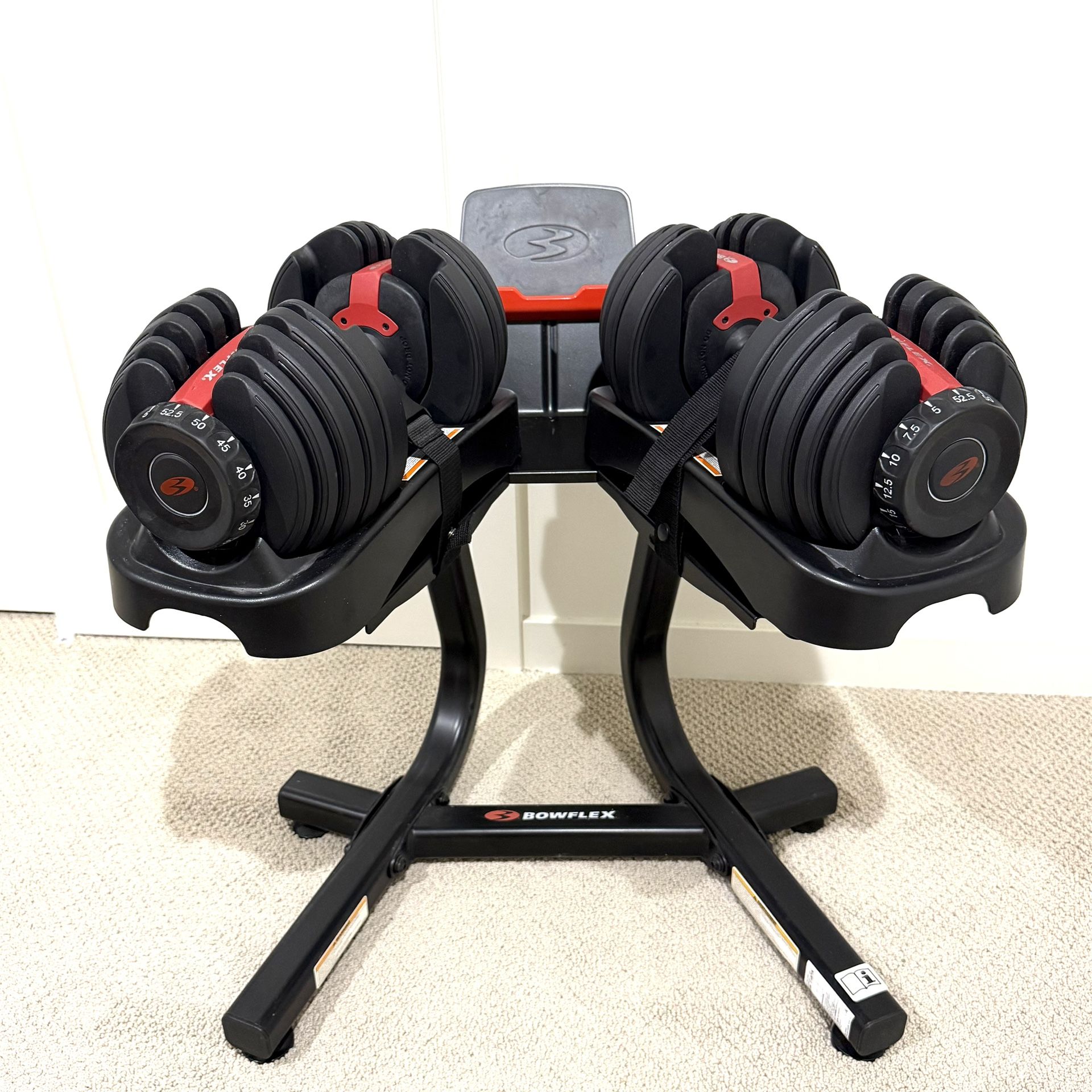 BOWFLEX SelectTech 552: adjustable dumbbells And stand