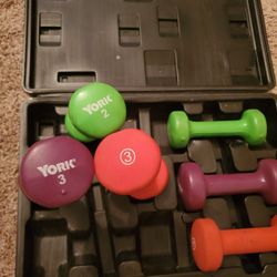 Light Weight Set w/ Case