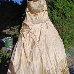 Princess Size 14 Quicenera Or Formal Gown With Handbag And Shoulder Wrap