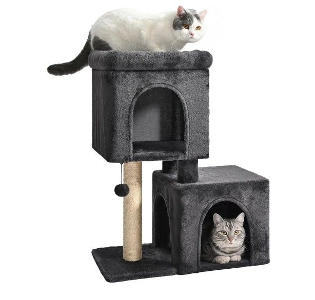 House for cats