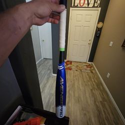 Axe Avenge Pro 29" 19oz