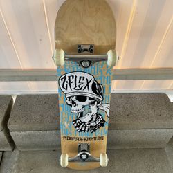 Z- Flex Skateboard 