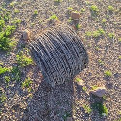 Roll of barbed wire