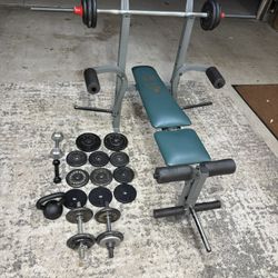 Weight Bench and Weights