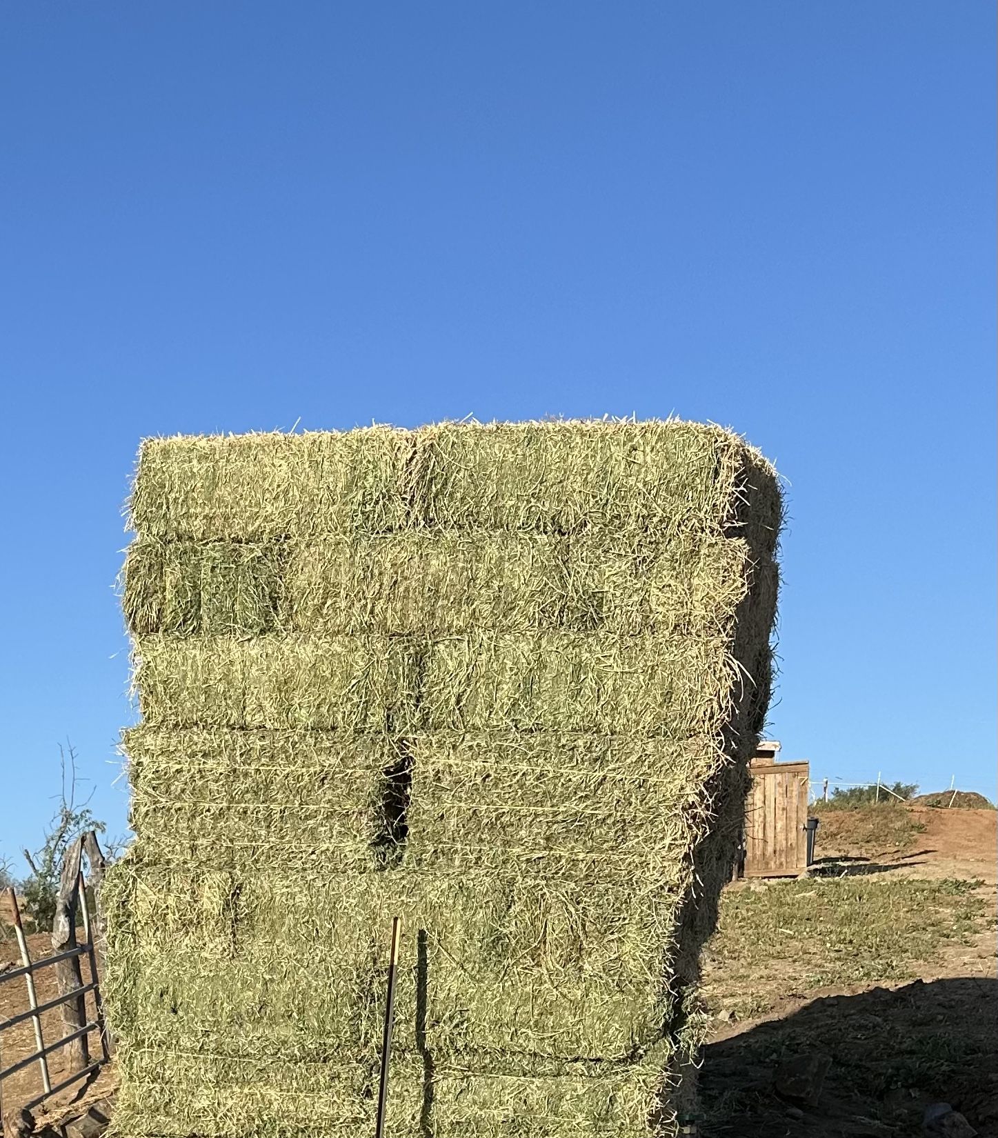 Alfalfa Hay Number 1 Alfalfa