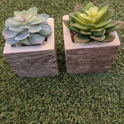 Handmade Artificial Succulents Set of 2 in Pots with Wood Design
