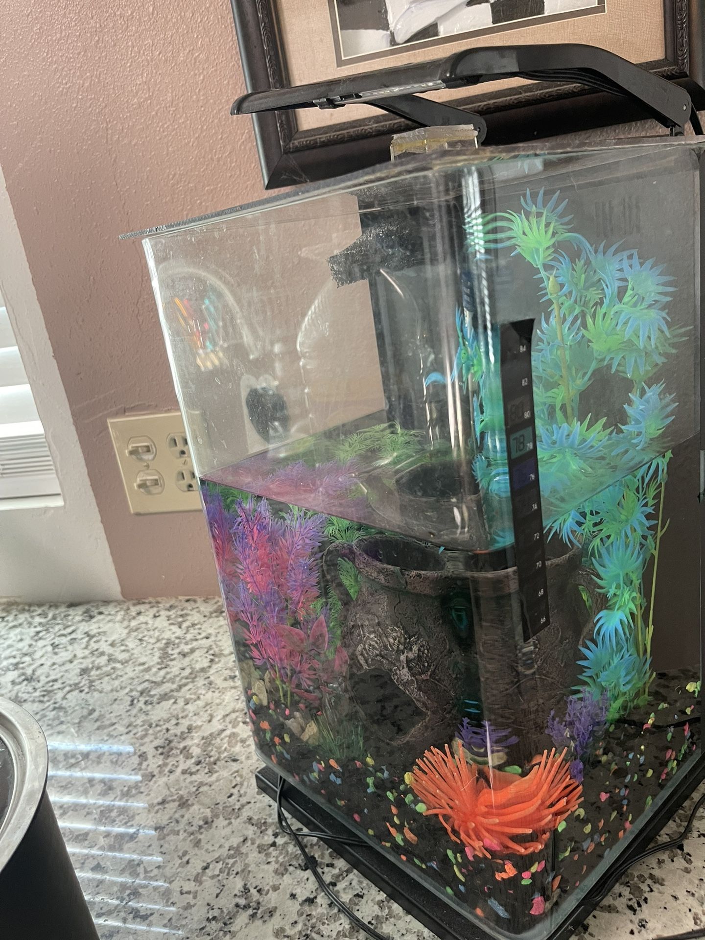 I’m Sell Fish tank 15 Gallon