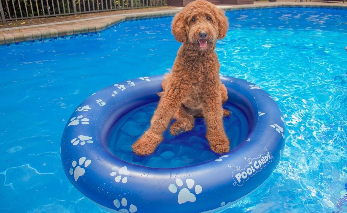 PoolCandy Inflatable Pet Float - Easy Set Up Doggy Pool Floats (Up-to 100LB PAW