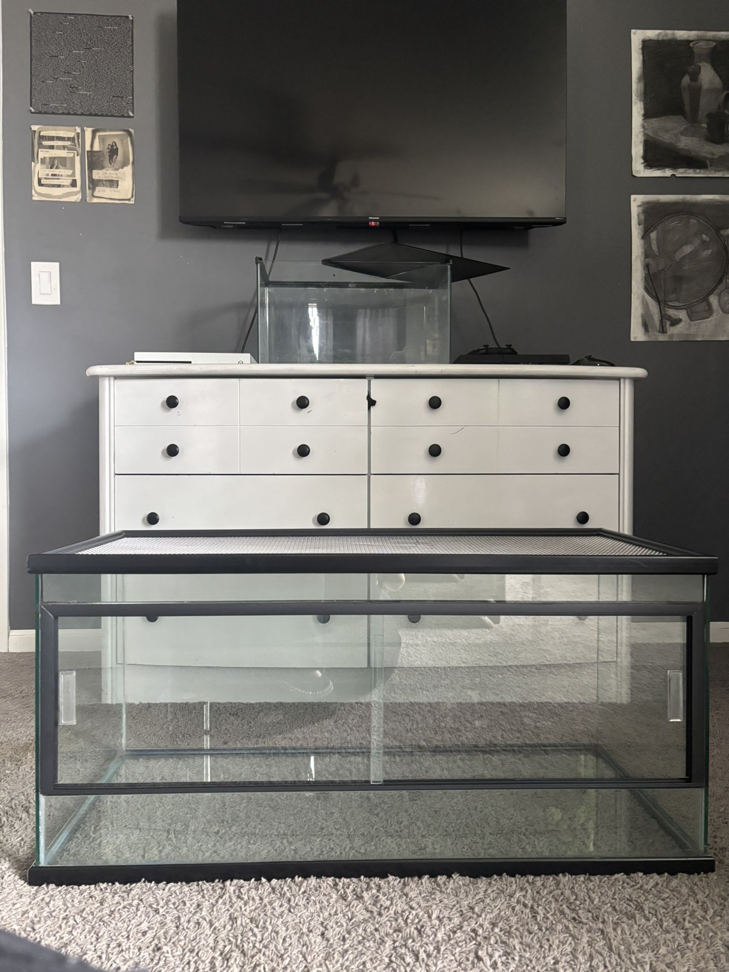 55 gallon reptile tank