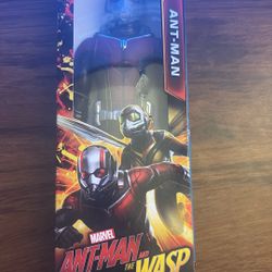 Any-man/the Wasp