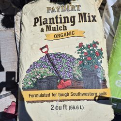 Mulch For Plants